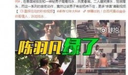 茜茜爆料视频大全集播放,揭秘娱乐圈幕后真相